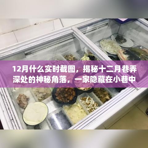 揭秘十二月巷弄深处的神秘小店，巷中小特色店实时截图