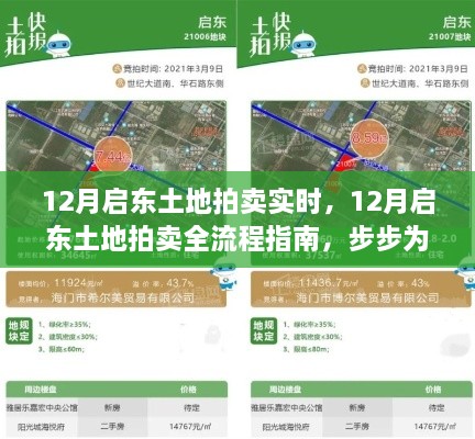 12月启东土地拍卖全攻略，实时动态、流程指南与拍卖技巧