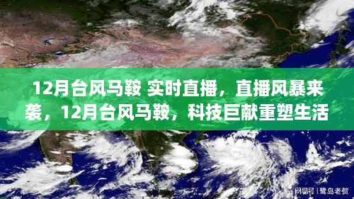 直播风暴来袭，台风马鞍下的科技重塑生活体验