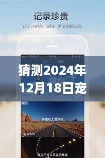 宠物实时记录仪app使用指南，初学者与进阶用户全攻略（预测至2024年）