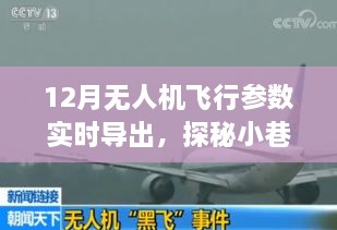 探秘无人机飞行参数实时导出，揭秘十二月小巷深处的秘密飞行之旅