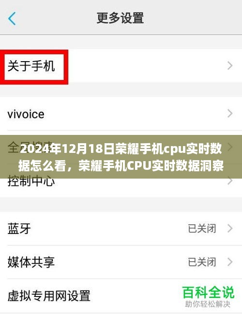 荣耀手机CPU实时数据洞察，体验未来智能生活的科技前沿时刻