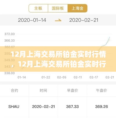上海交易所铂金实时行情详解及入门进阶指南