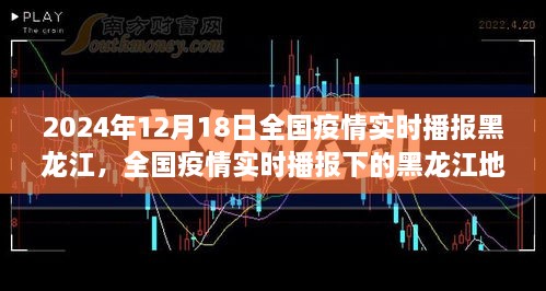 全国疫情实时播报下的黑龙江地区概况深度解析（2024年12月18日）