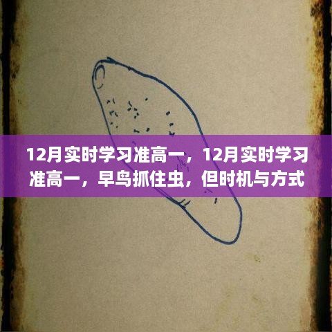 准高一生的12月实时学习，早鸟策略与时机方式的平衡