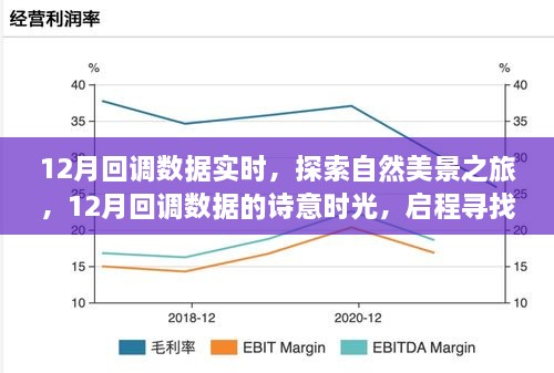 12月回调数据下的自然探索之旅，诗意时光启程，寻找内心的平和与宁静