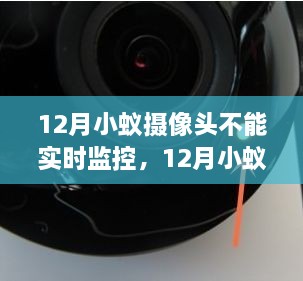 12月小蚁摄像头休眠时，与大自然的私密对话，实时监控故障解析