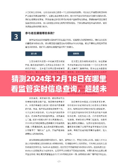 超越未来，预测监管实时信息查询的新视界，2024年12月18日的查询地点探索