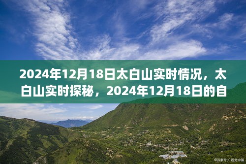 太白山探秘，揭秘2024年12月18日的自然奇观与实时情况