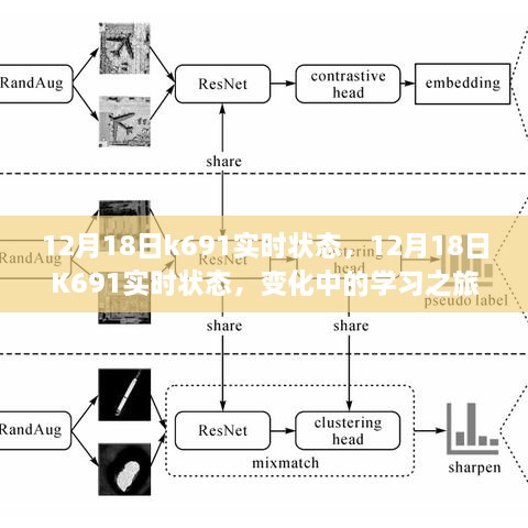 12月18日K691实时状态更新，学习之旅中的自信与成就绽放