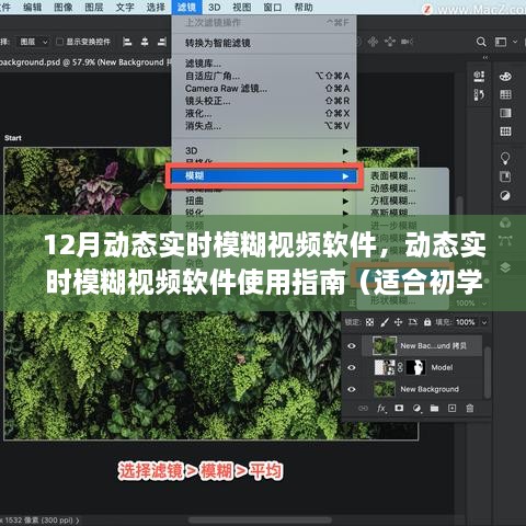 动态实时模糊视频软件使用指南，从初学者到进阶用户的全方位指南（12月最新版）