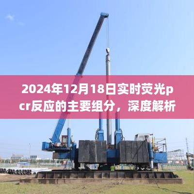 深度解析，实时荧光PCR反应主要组分详解及评测报告（2024年12月18日）