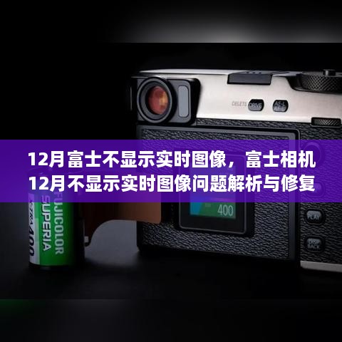 2024年12月19日 第8页