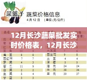 12月长沙蔬菜批发实时价格表分析与探讨，市场走势一览