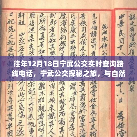 宁武公交探秘之旅，与自然美景的不解之缘，实时查询路线电话全攻略