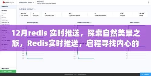 Redis实时推送，启程探索自然美景，寻找内心的宁静与平和