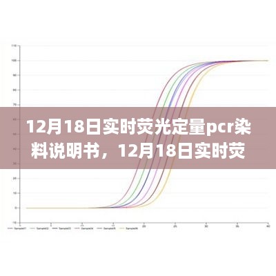 2024年12月20日 第14页