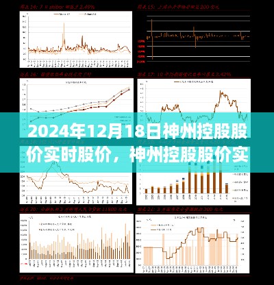 神州控股实时股价走势分析，深度评测与前景展望（2024年12月18日）