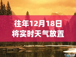 2024年12月20日 第7页