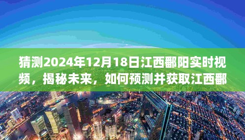 2024年12月20日 第4页