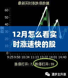 实战指南，如何在12月捕捉涨速快的股票？策略与步骤详解