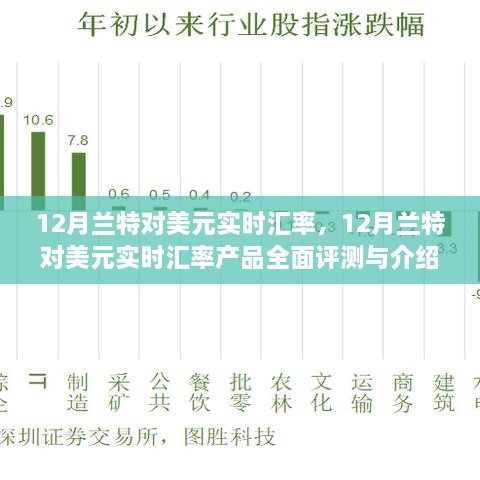 12月兰特对美元实时汇率解析及全面评测介绍