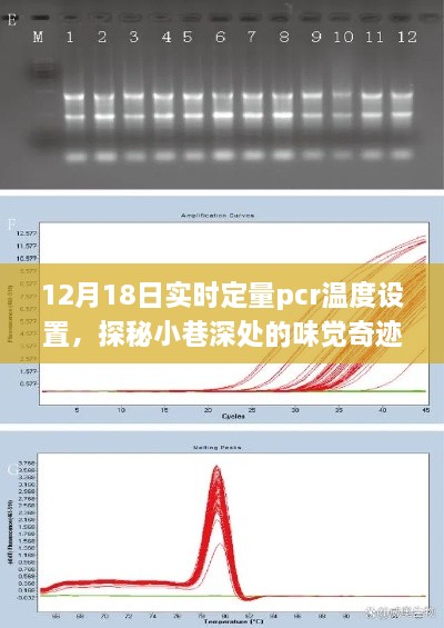 探秘小巷深处的味觉奇迹，特色小店的实时定量PCR温度设置之旅揭秘