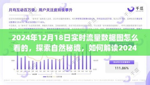 探索自然秘境，解读实时流量数据图，寻找内心的宁静之旅（2024年12月18日实时流量数据图详解）