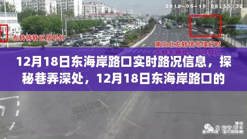 探秘东海岸路口，实时路况与隐藏美食之旅（12月18日）