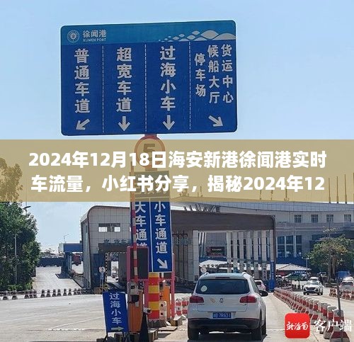 揭秘，海安新港徐闻港实时车流量实况，小红书分享，2024年12月18日数据报告