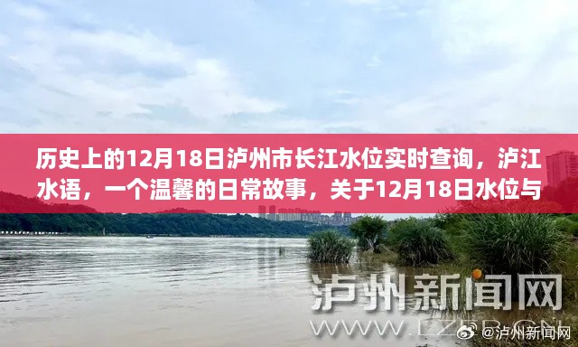 泸州市长江水位变迁与友情记忆，温馨故事回顾，12月18日水位实时查询