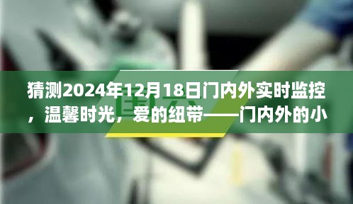 门内外监控下的温馨时光，爱的纽带与日常趣事揭秘（2024年12月18日）