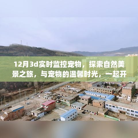 冬日宁静冒险，与宠物共赏自然美景，12月3D实时监控的温馨时光