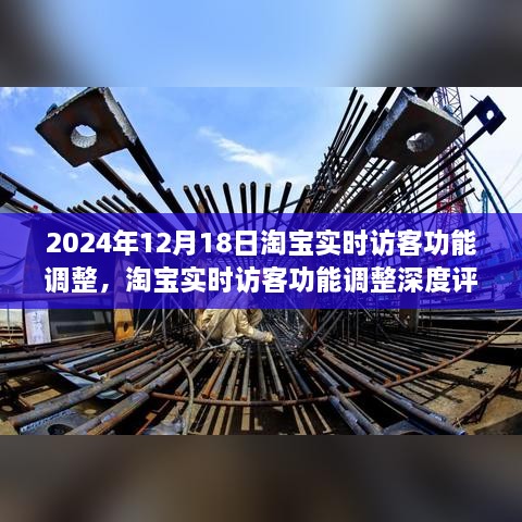 淘宝实时访客功能调整深度评测，2024年12月18日更新观察