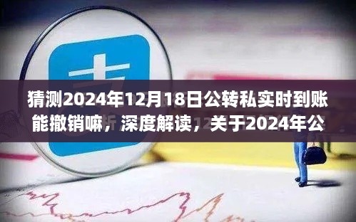 关于公转私实时到账撤销功能的深度解读与探讨，2024年预测分析