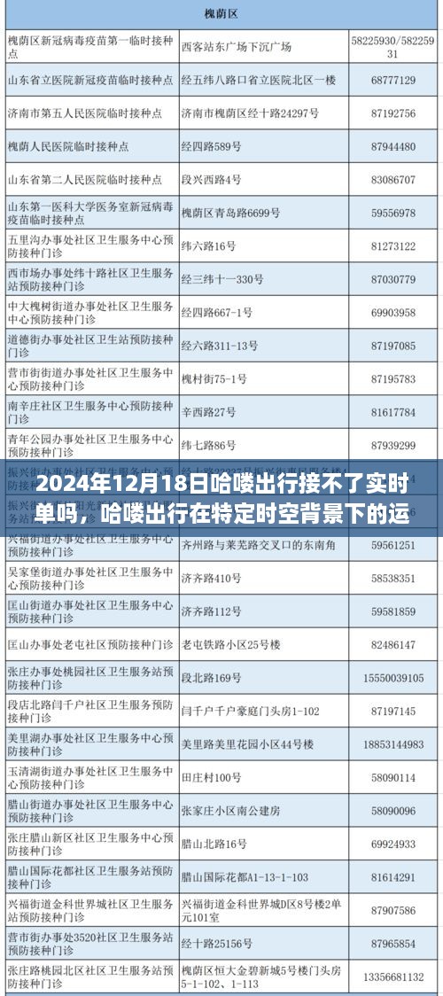 哈喽出行在特定时空背景下遭遇的实时单困境，解析2024年12月18日的运营挑战