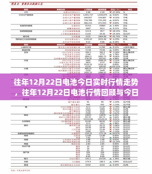 往年12月22日电池行情回顾与实时走势分析，历史走势与今日市场动态解析