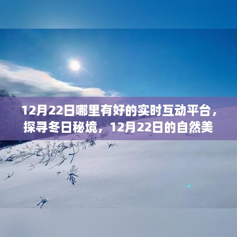 12月22日互动平台探寻冬日秘境，自然美景之旅与实时互动盛宴