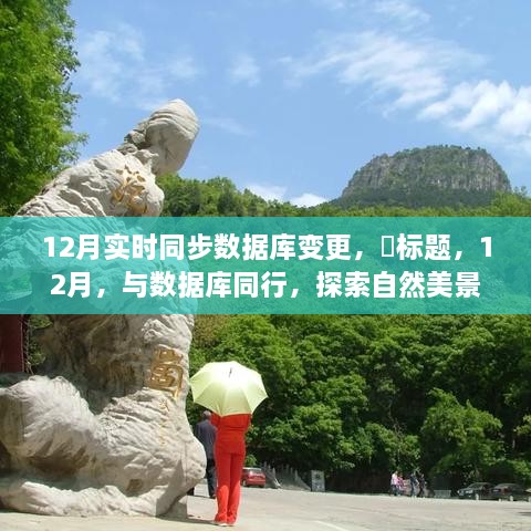 12月数据库同步之旅，探索自然美景，寻找内心宁静与平和