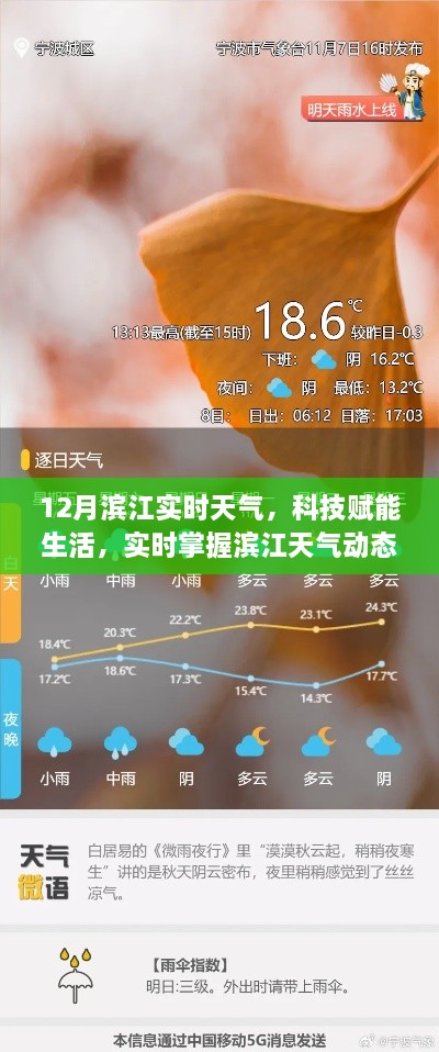 科技助力，实时掌握滨江天气动态——滨江气象宝