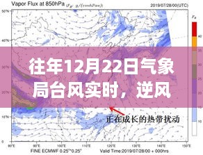 气象新纪元，台风实时追踪启示与逆风破浪的力量学习之路