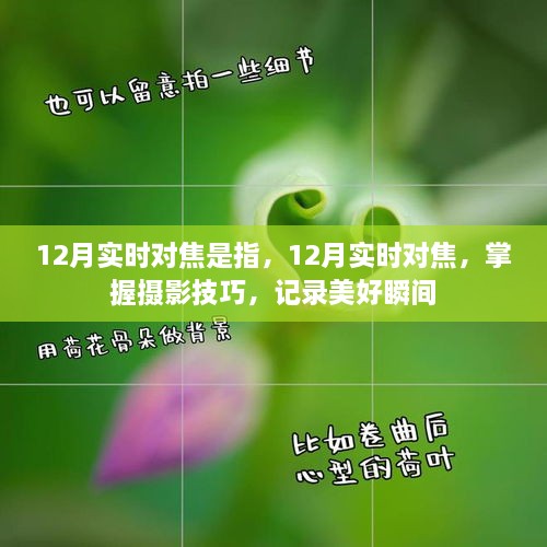 12月实时对焦，掌握摄影技巧，定格美好瞬间