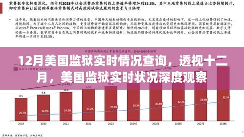 透视十二月美国监狱实时状况，深度观察与实时情况查询