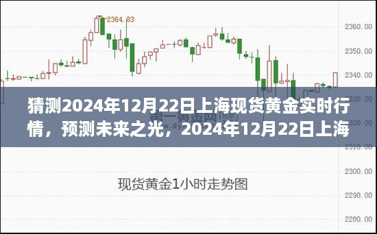 2024年12月22日上海现货黄金行情预测与展望，未来之光