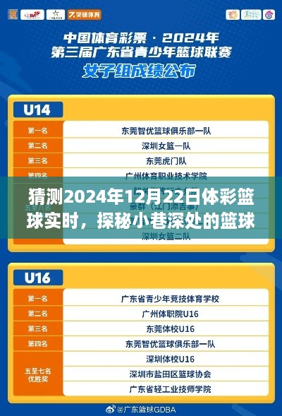 探秘篮球预言馆，揭秘2024年12月22日体彩篮球风云预测与实时动态