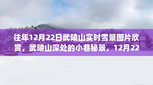 武陵山深处，雪中独韵的小巷秘景与隐匿小店欣赏