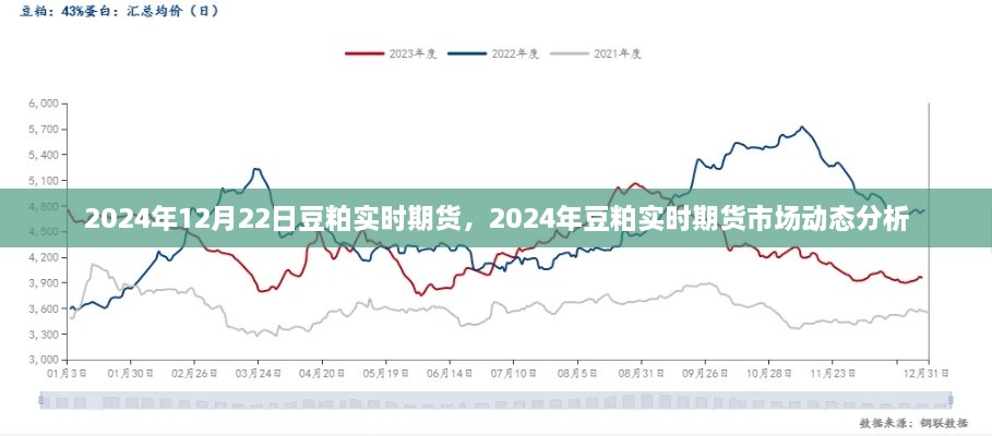 2024年豆粕实时期货市场动态分析与展望