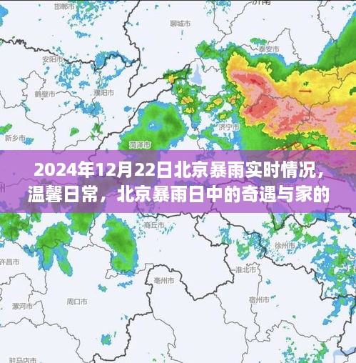 北京暴雨日中的奇遇与家的温暖，2024年12月22日北京暴雨实时记录