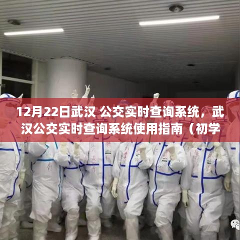 武汉公交实时查询系统使用指南，初学者与进阶用户适用，12月22日更新