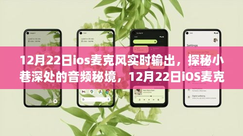 探秘小巷深处的音频秘境，iOS麦克风实时输出之旅在12月22日开启